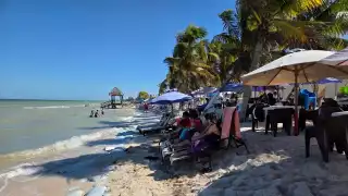 Toda la zona costera presenta una situación difícil, principalmente en el área de Chicxulub