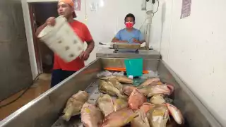 Fenómenos naturales como las lluvias y tormentas, junto con las constantes ondas tropicales, han provocado la interrupción de la actividad pesquera