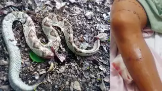 FOTO: Abraham Cohuó