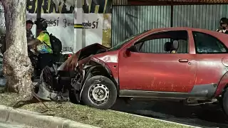Dos ebrios se estrellaron contra un árbol, resultando con lesiones