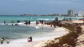 Playa Coral y otras playas de Quintana Roo con mayor recale de sargazo