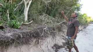 Playas del Pueblo Mágico de Sisal son amenazadas por la erosión