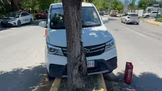 Camioneta se estrella contra un árbol en Campeche.