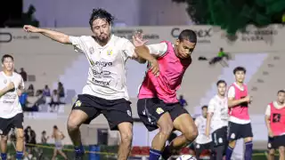 Interplaya del Carmen en busca de mantener el vuelo ante Dragones de Toluca