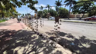 Vacaciones no salvan las ventas; artesanos de Champotón apenas sobreviven