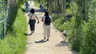 Se explicó que se colocará al perro o gato junto con una maceta con una planta u árbol mismos que tendrán el mismo nombre de la mascota.