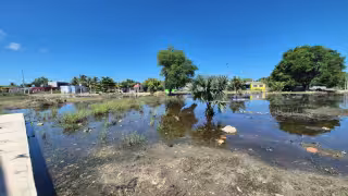 Vecinos de Champotón denuncian plaga de mosquitos y falta de respuesta para rellenar terreno