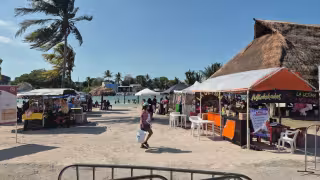 Boca del Río ‘El Manglar’ en Champotón registra alta afluencia desde el primer día de vacaciones