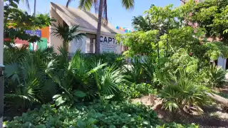 Gobierno municipal sobrepasado por problema de vagabundos.