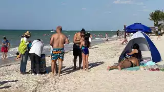 La afluencia turística continúa