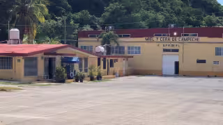 Despido masivo en Miel y Cera de Campeche: trabajadores con hasta 28 años de antigüedad exigen liquidación