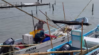 “Antes sacábamos hasta 100 kilos": pescadores de Isla Arena temen una mala temporada de pulpo