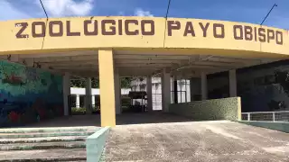 Zoológico Payo Obispo lleva casi un año cerrado al público
