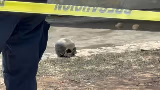 Cráneo humano hallado en Campeche moviliza a Fiscalía y Policía Estatal