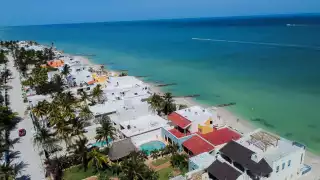 En las costas de Yucatán fueron detectadas especies de sargazo tóxico tras una serie de investigaciones