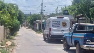 Un grupo de siete canes agrede a un perro salchicha durante un paseo en la colonia San Francisco