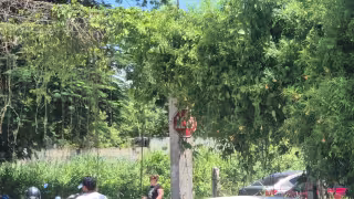 Maleza se “come” señales de tránsito en Champotón; alertan por riesgo para conductores