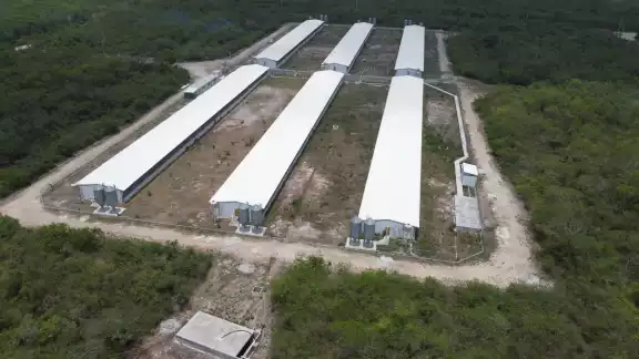 Los habitantes del municipio están a la espera del resolutivo del Juez Segundo de Distrito en contra de la suspensión definitiva de operaciones de la megagranja. Los habitantes del municipio están a la espera del resolutivo del Juez Segundo de Distrito en contra de la suspensión definitiva de operaciones de la megagranja.