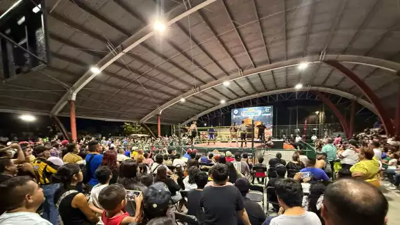 El Comisionado, conocido como "Taurus" podría dejar su cargo.