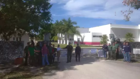 Empleados de Conafor entraron en paro nacional este miércoles Empleados de Conafor entraron en paro nacional este miércoles