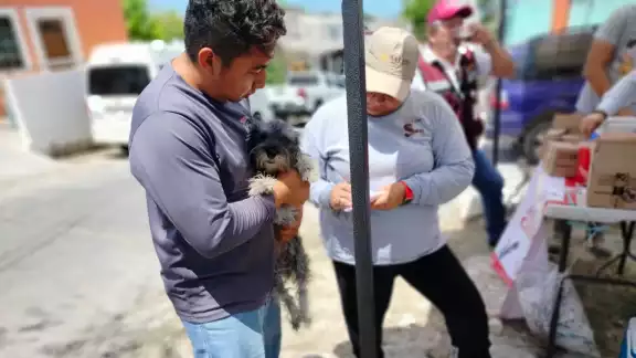 Arranca vacunación antirrábica en Campeche: priorizan prevención en mascotas Arranca vacunación antirrábica en Campeche: priorizan prevención en mascotas