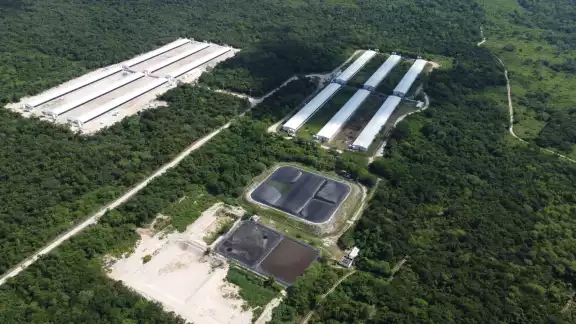 La contaminación del agua por las granjas porcícolas ha sido un tema importante en Yucatán