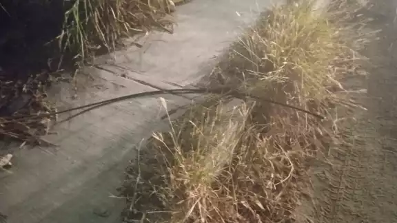Los vecinos de Champotón se quedan sin luz varias horas luego de los robos Los vecinos de Champotón se quedan sin luz varias horas luego de los robos