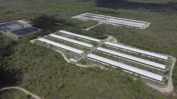 Los habitantes de Sitilpech aseguraron que hay pruebas sobre la grave contaminación del manto freático causado por la granja porcícola de Kekén Los habitantes de Sitilpech aseguraron que hay pruebas sobre la grave contaminación del manto freático causado por la granja porcícola de Kekén