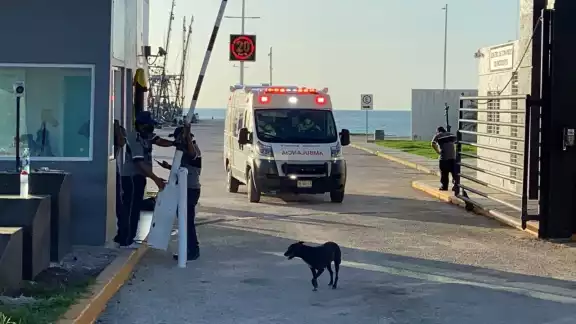 El hombre fue encontrado flotando boca abajo El hombre fue encontrado flotando boca abajo