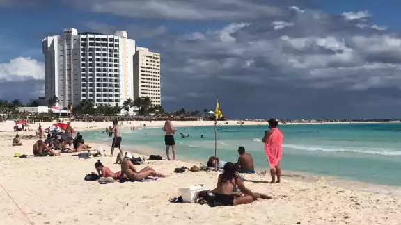 El sargazo de nombre científico (Sargassum) es una especie de alga parda que habita en ambientes marinos