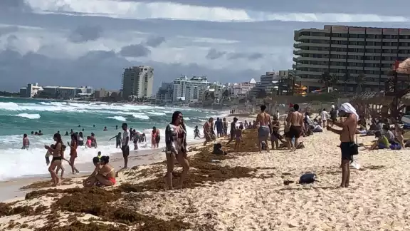 Pese al sargazo en la arena, las familias no dudaron en pasar un día en el arenal Pese al sargazo en la arena, las familias no dudaron en pasar un día en el arenal