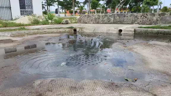 El rebosamiento de la alcantarilla gera olores fétidos debido a las aguas negras que exudan de su interior en Cozumel El rebosamiento de la alcantarilla gera olores fétidos debido a las aguas negras que exudan de su interior en Cozumel
