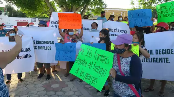 Los habitantes decidieron mantener la granja porcícola ya que es su principal fuente de empleo