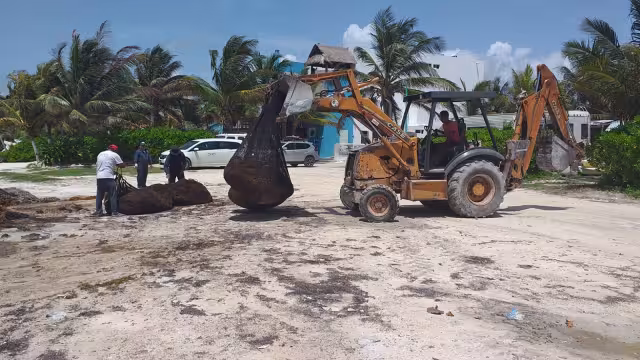 La cantidad de sargazo que recala en las costas de Quintana Roo supera al equipo de limpieza de la Semar y municipal
