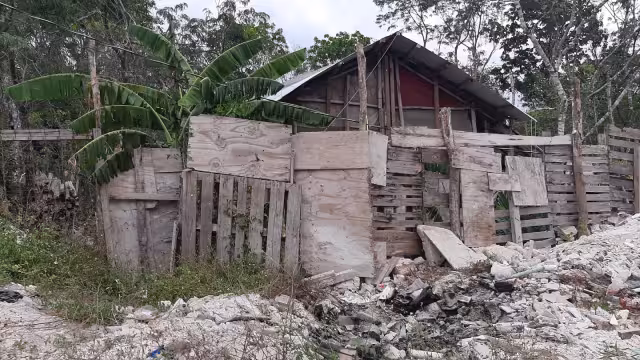 La contaminación del manto freático en Playa del Carmen podrían causar problemas de salud pública y ambiental, indica el biólogo