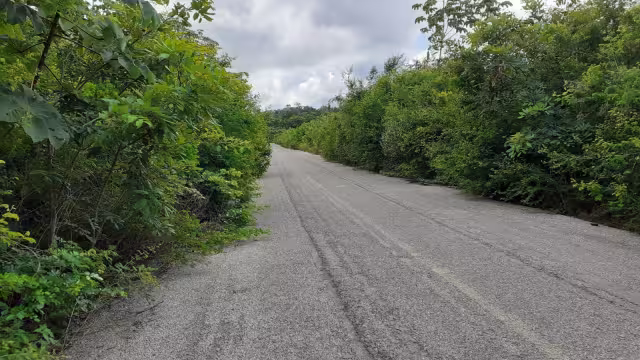 El cuerpo tenía un impacto de arma de fuego