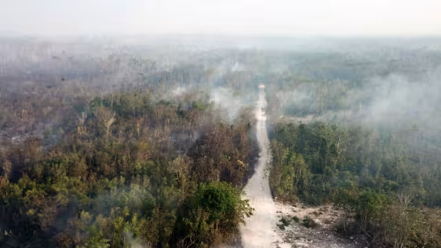 La Conafor recomendó a quienes salen de vacaciones a no dejar fogatas encendidas, o tirar colillas de cigarros para evitar más incendios forestales en Quintana Roo