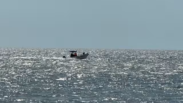 Localizan a dos jóvenes reportados como desaparecidos en manglares.