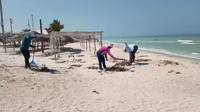 Autoridades y pobladores se organizan para mantener limpia la playa de Sabancuy