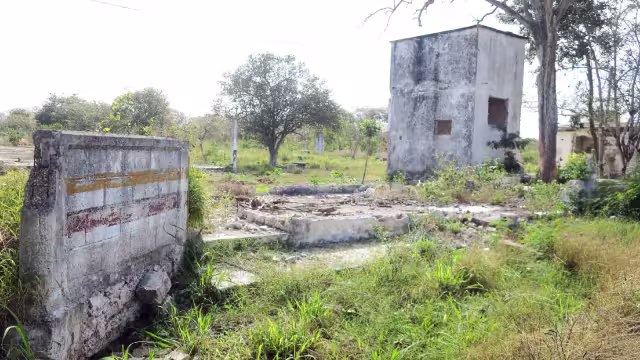 Foto: Ramón Reyna Fernández