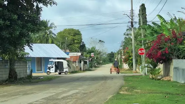 Según personal de la paraestatal, ramas de árboles y enredaderas rozaban el cableado lo que provocaba cortos circuitos y que se botaran cuchillas