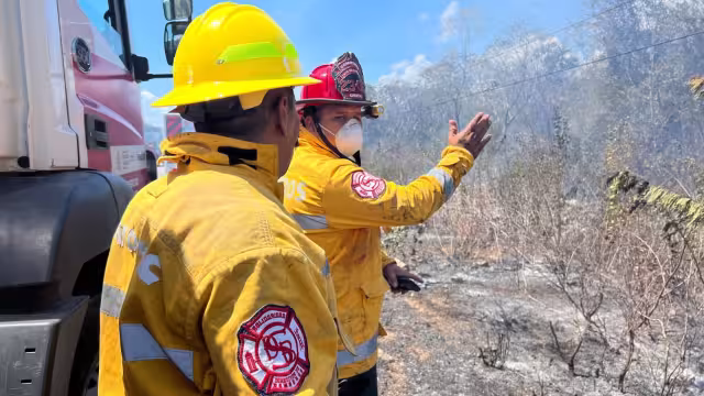 Los elementos del Cuerpo de Bomberos combatieron el incendio.