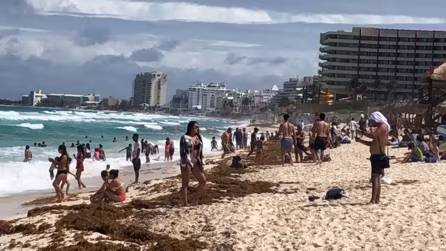 Pese al sargazo en la arena, las familias no dudaron en pasar un día en el arenal