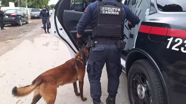 Hasta el momento las autoridades no han emitido algún tipo de información al respecto