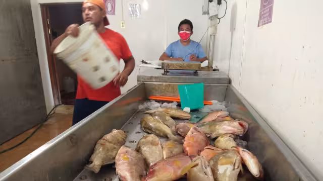 Fenómenos naturales como las lluvias y tormentas, junto con las constantes ondas tropicales, han provocado la interrupción de la actividad pesquera