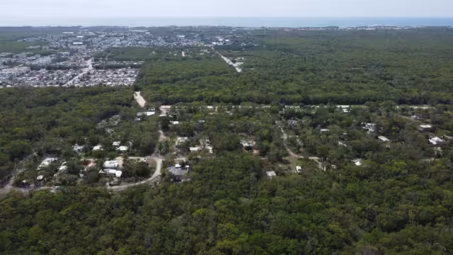 El suelo artificializado (compactado para área urbana) cuenta con una superficie de 19 mil 266 hectáreas