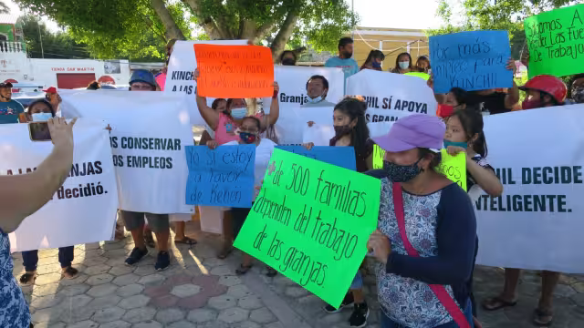 Los habitantes decidieron mantener la granja porcícola ya que es su principal fuente de empleo