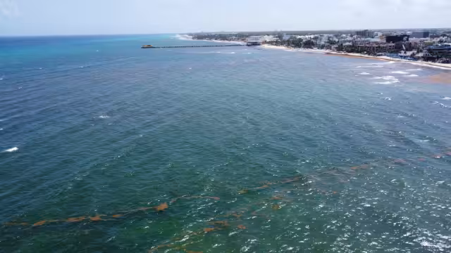 La Administración Portuaria de Quintana Roo extenderá su área por mar y tierra