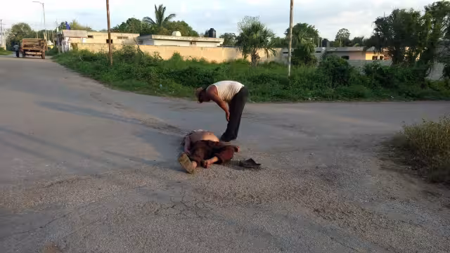 El abuelito fue identificado como don Checas