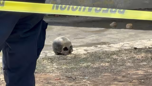 Cráneo humano hallado en Campeche moviliza a Fiscalía y Policía Estatal
